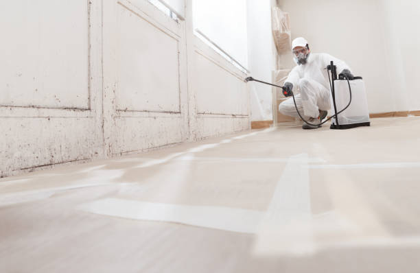 24/7 Emergency Basement Mold Remediation experts in Darlington, MD