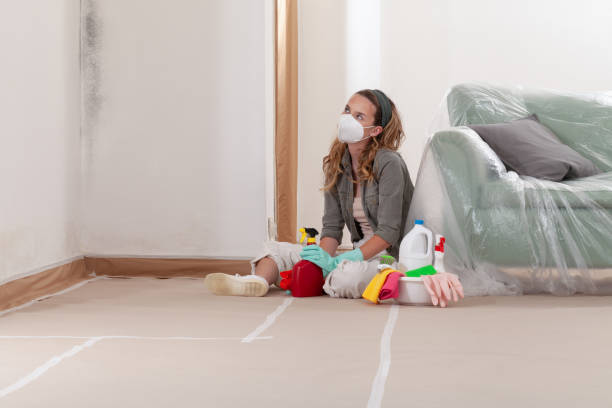 Reliable Basement Mold Remediation contractor in Darlington, MD by WQB Mold Removal